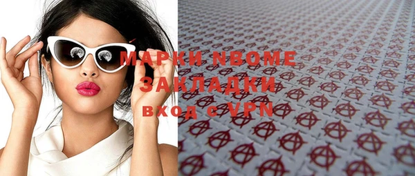 прущие грибы Абаза