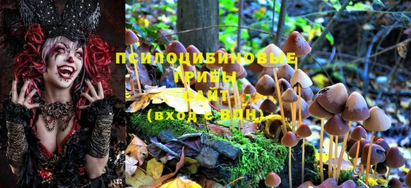 амфетамин Новозыбков